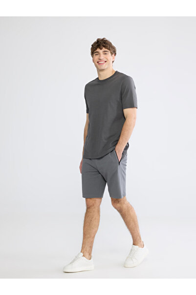 LC Waikiki Standard Fit Men's Shorts