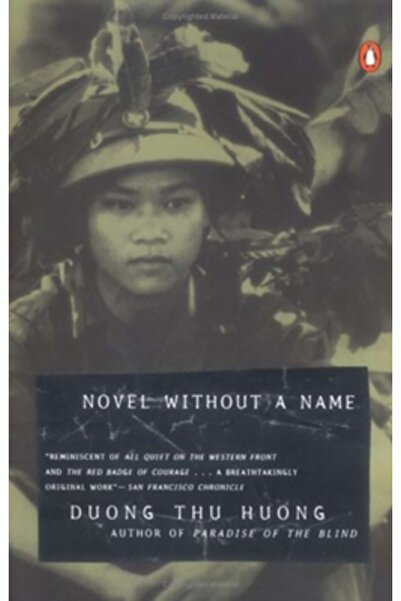 Penguin Books Novel Without a Name