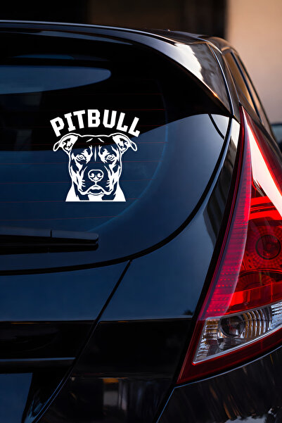 New Jargon Pitbull Sticker - Pitbull Dog Car Sticker - Auto Sticker 15X15Cm
