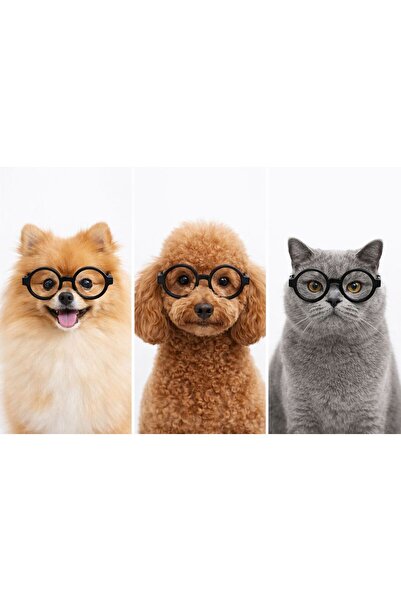 PetiliDünya Pet Glasses Cat Dog Clothing Accessory