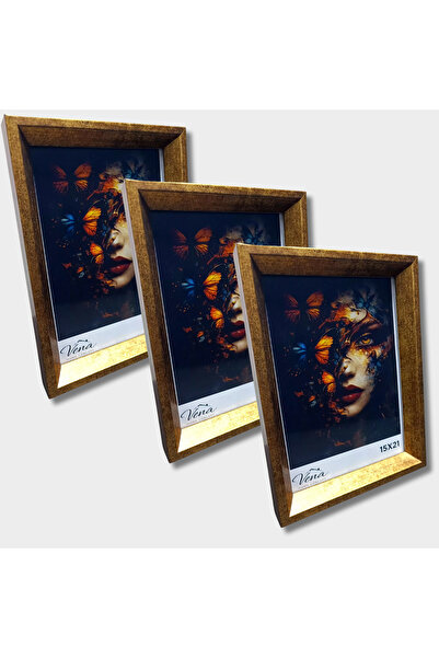 VenaHomeConcept 3’lü 15x21 Altın Çerçeve Seti – Camlı Dekoratif Fotoğraf Çerç...