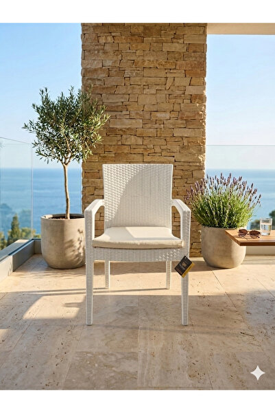Novussi Paris Rattan Koltuk MİNDERLİ 4'lü Paket