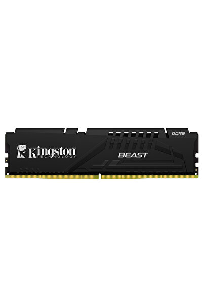Kingston بيست، KF560C36BBE2-16TR، 16 جيجابايت، 6000 ميجاهرتز، DDR5، CL36، ذاك...