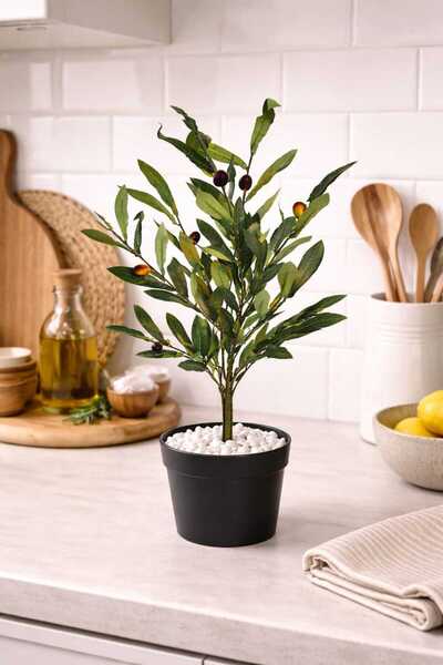 ecrella 60 cm Yapay Zeytin Ağacı Siyah Saksıda Beyaz Taşlı – Gerçek Görünümlü...