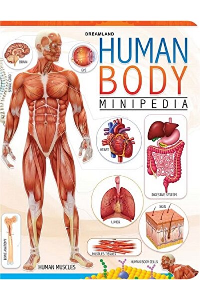 dreamland Human Body Minipedia