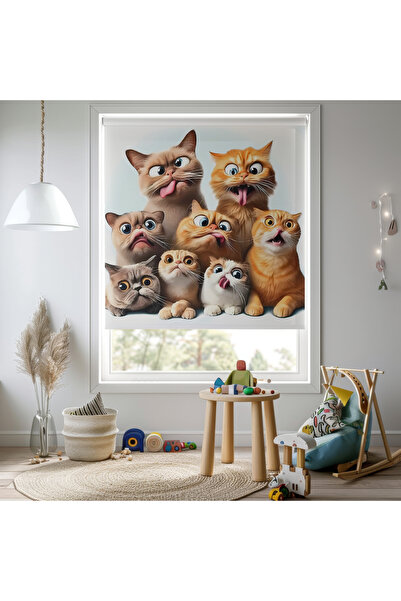 Home Kız ve Erkek Odası - Komik Kedi Desenli Baskılı Stor Perde