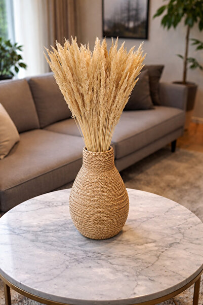 Mini Pampas Grass 30 Branches 50 cm Yellow Color Dry Flower Bundle Decorative Pampas Vase Flower
