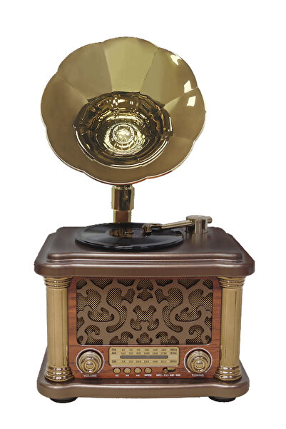 FEEXOT GRAMOFON GÖRÜNÜMLÜ BLUETOOTH NOSTALJİ RADYO