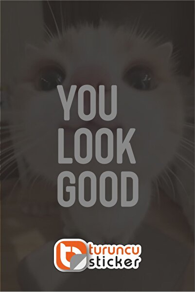 Turuncu Sticker You Look Good Sticker Label 10X15 cm Mirror - Glass – Vehicle...