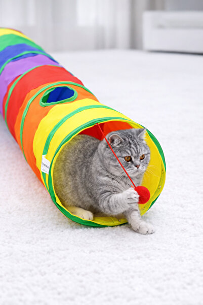 PawX Kedi Oyun Tüneli Katlanır Gökkuşağı Düz Tünel Kedi Oyuncağı – Peluş Topl...