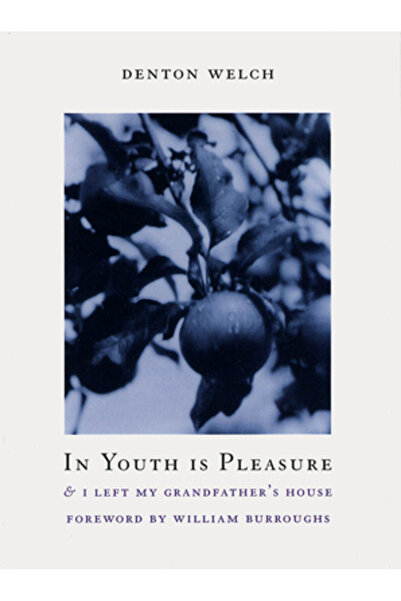Exact Change In Youth Is Pleasure