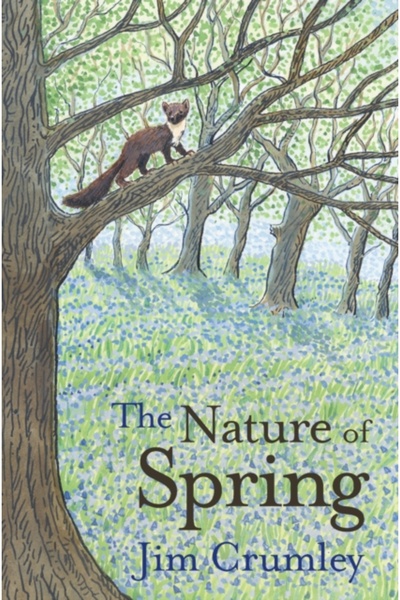 Saraband The Nature of Spring