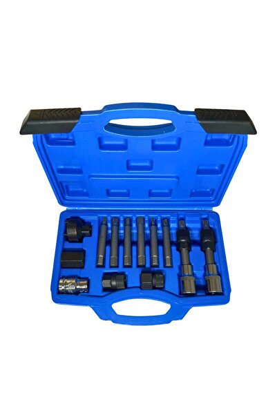 Nt Tools NTA8040 Alternatör Sökme Takma Somun Bits Takımı 13 Parça