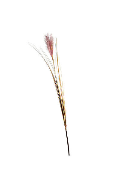Paşabahçe Bulrush 119 cm Mor - 1 Adet