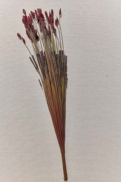 Paşabahçe Grass 75 cm Kırmızı - 1 Adet