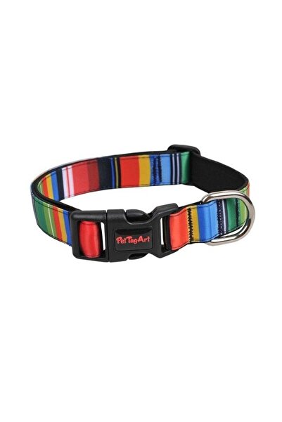 Pet Tag Art طوق كلب قابل للتعديل من PetTagArt بخطوط ملونة