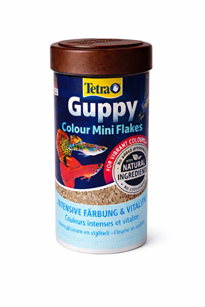 Kotenart Tetra Guppy Colour Mini Flakes 100 ml – Lepistesler Için Renk Artırı...