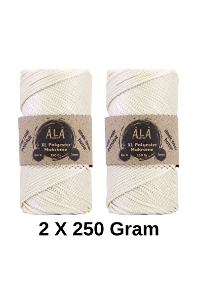 aladepo 2 Adet XL Polyester Makrome No:6 (Kalın) Çanta İpi 2x250 Gram (Toplam...