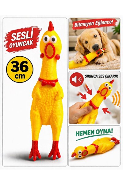 HAYHAYPETSHOP Sesli Tavuk Oyuncak Büyük Boy Köpek Oyuncağı Isırmalık Dayanıkl...