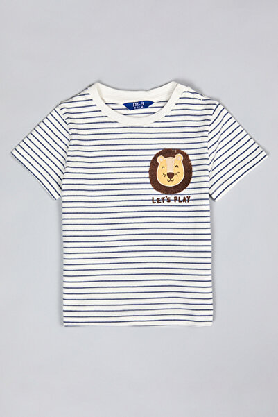 R&B Striped T-Shirt with Crew Neck and Short Sleeves