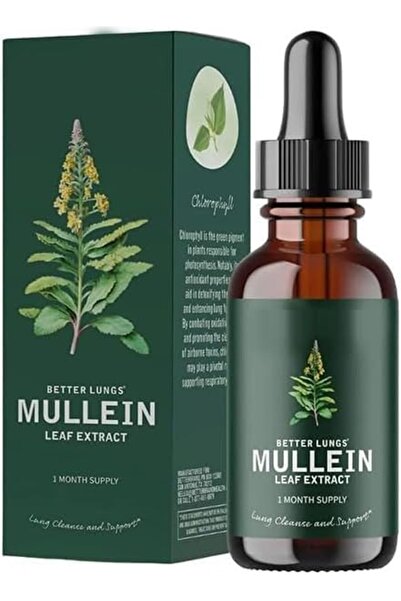 Arabest 30ml Mullein Leaf Extract Drops,Lung Cleanse Respiratory Support,for ...