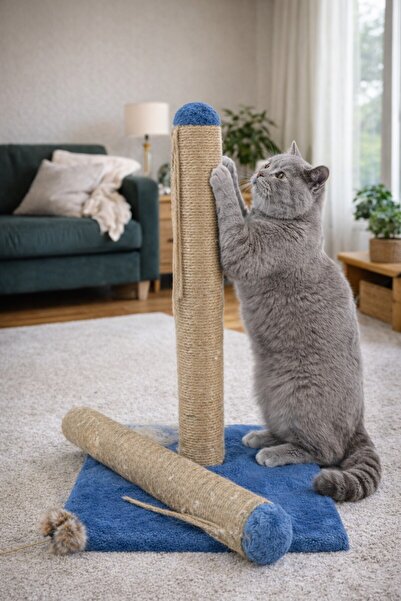 Pettrend Yedekli Lacivert Kedi Tırmalama Tahtası Yedek Borulu-42Cm