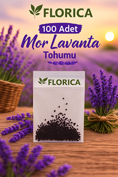 FLORICA 100 Adet Mor Lavanta Tohumu – Lavanta Çiçeği Tohumu Bahçe ve Saksı İçin