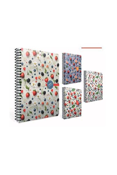 Gıpta berry notes spiralli sert kap def 17x24 120 Çizg.-36-STD