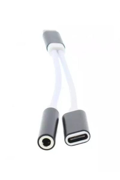 Well Προσαρμογέας USB Type C σε jack 3.5 mm, USB Type C σε jack 3.5 mm, 13 εκ.
