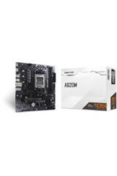 Biostar Μητρική πλακέτα A620MT-E 2.0