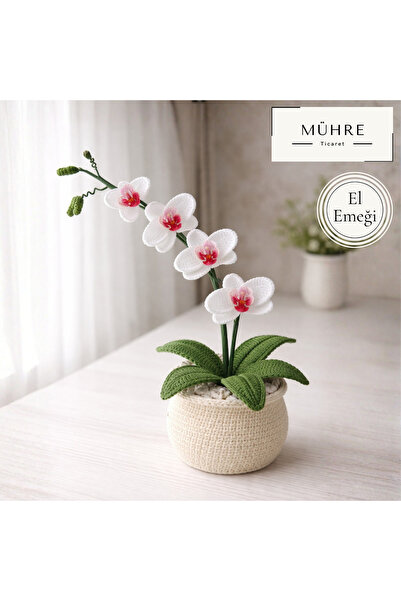 mühre Saksıda Menekşe Hediyelik %100 Pamuklu Organik Amigurumi Örgü Doğumgünü...