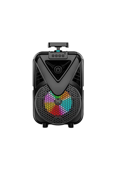 OEM Φορητό ηχείο ενεργό Bluetooth ραδιόφωνο FM AUX κάρτα SD μικρόφωνο τηλεχει...