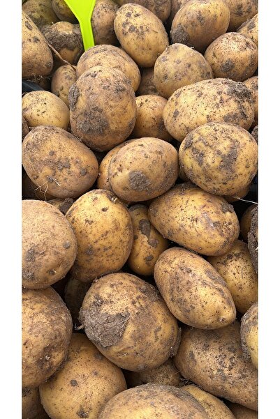 5M MEYVE SEBZE PATATES 5 KG