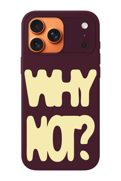shoptocase iPhone 17 Pro Uyumlu Why Not Desenli İçi Süet Lansman Telefon Kılıfı