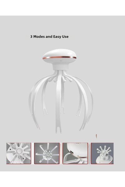 NW NessiWorld Md877 Head Massager
