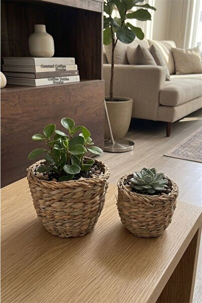 Bayev Σετ 2 τεμαχίων Χοντρό Πλεκτό Ψάθινο Διακοσμητικό Καλάθι HSR - Φυσικό Ψά...