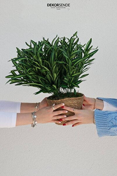 Dekorsende Τεχνητό πλεγμό αράχνης πράσινο 45 εκ