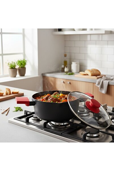 B&D DUTCH OVEN WITH LID CASSEROLE+LID 24X11CM