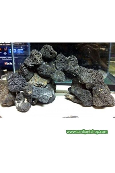 canlipetshop Dekoratif 10 ADET Doğal Lav Kaya Siyah (10x10)