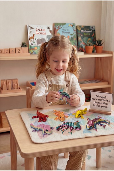 BBSKY 3D Yazıcı Bukalemun: Hareketli Eklemler, İpek PLA ve Harika Renk Geçişleri-Eğitici & Stres Oyuncağı