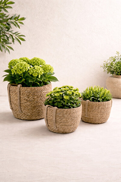 KaiHome سلة زخرفية من الخوص الطبيعي مكونة من 3 قطع - زهور ومنظم