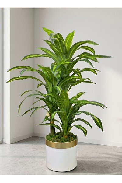 Cihan Çiçekçilik DRACAENA FRAGRANS 3 GÖVDE YAPAY AĞAÇ 160 CM GOLD KEMERLİ BEY...