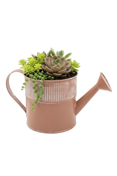 BM GİFT DESİGN Ghiveci metalic stropitoare 13x25cm roz