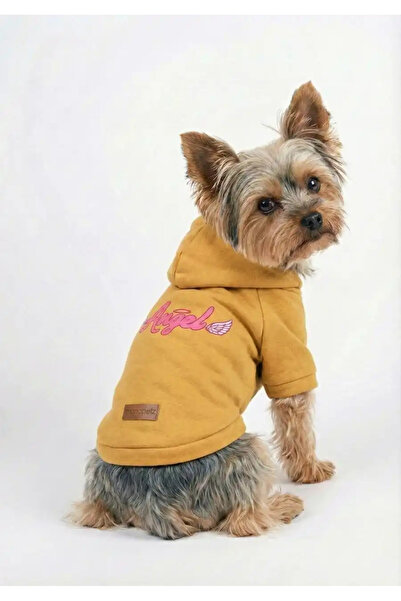MPZ Pets Cat and Dog Outfit & Dress - Yellow Hoodie Angel