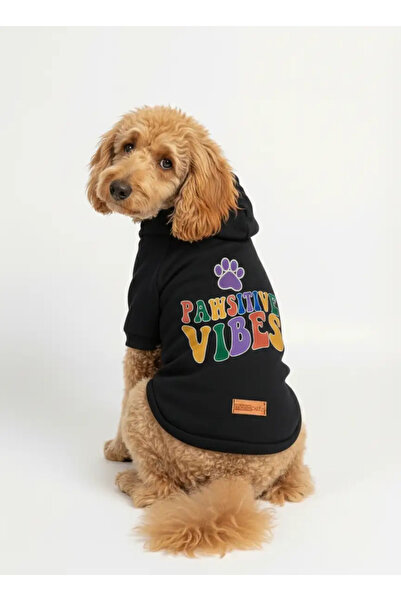 MPZ Pets Cat and Dog Outfit & Dress - Black Hoodie Pawsitive Vibes