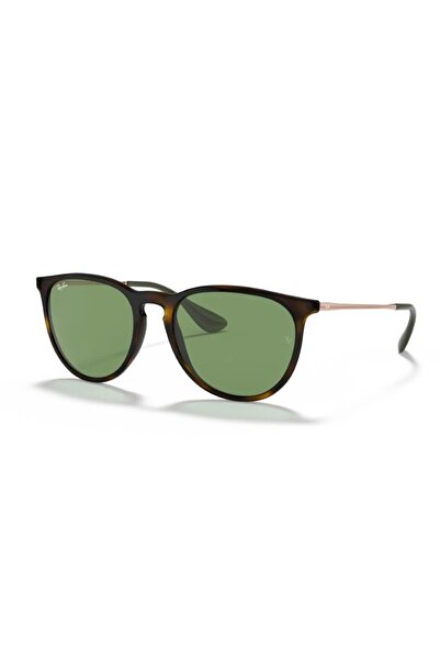 Ray-Ban Güneş Gözlüğü RB4171 54 6393/2
