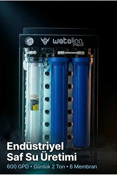 watalina 600 GPD Endüstriyel Direk Akışlı Su Arıtma Cihazı 20''