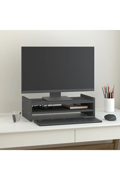 Concept Suport pentru monitor, gri, 50x27x15 cm, lemn masiv pin