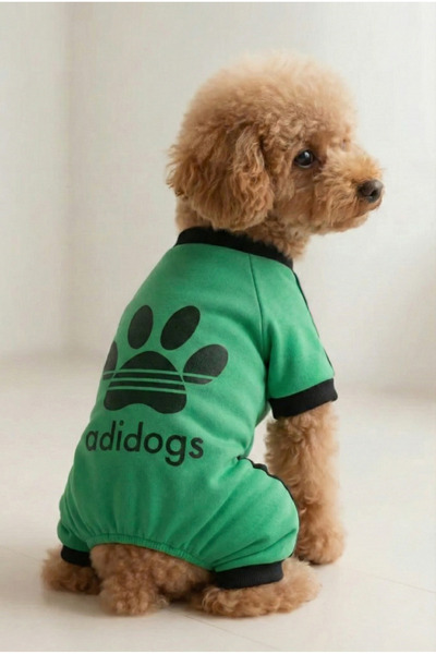 MPZ Pets Cat and Dog Clothing & Dresses Adidogs Mint 4 Babak Rompers