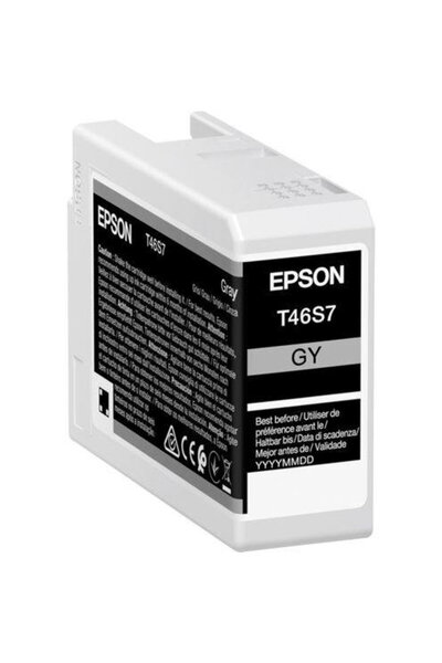 EPSON T46S7 Ink Cartridge, 25 ml, Gray